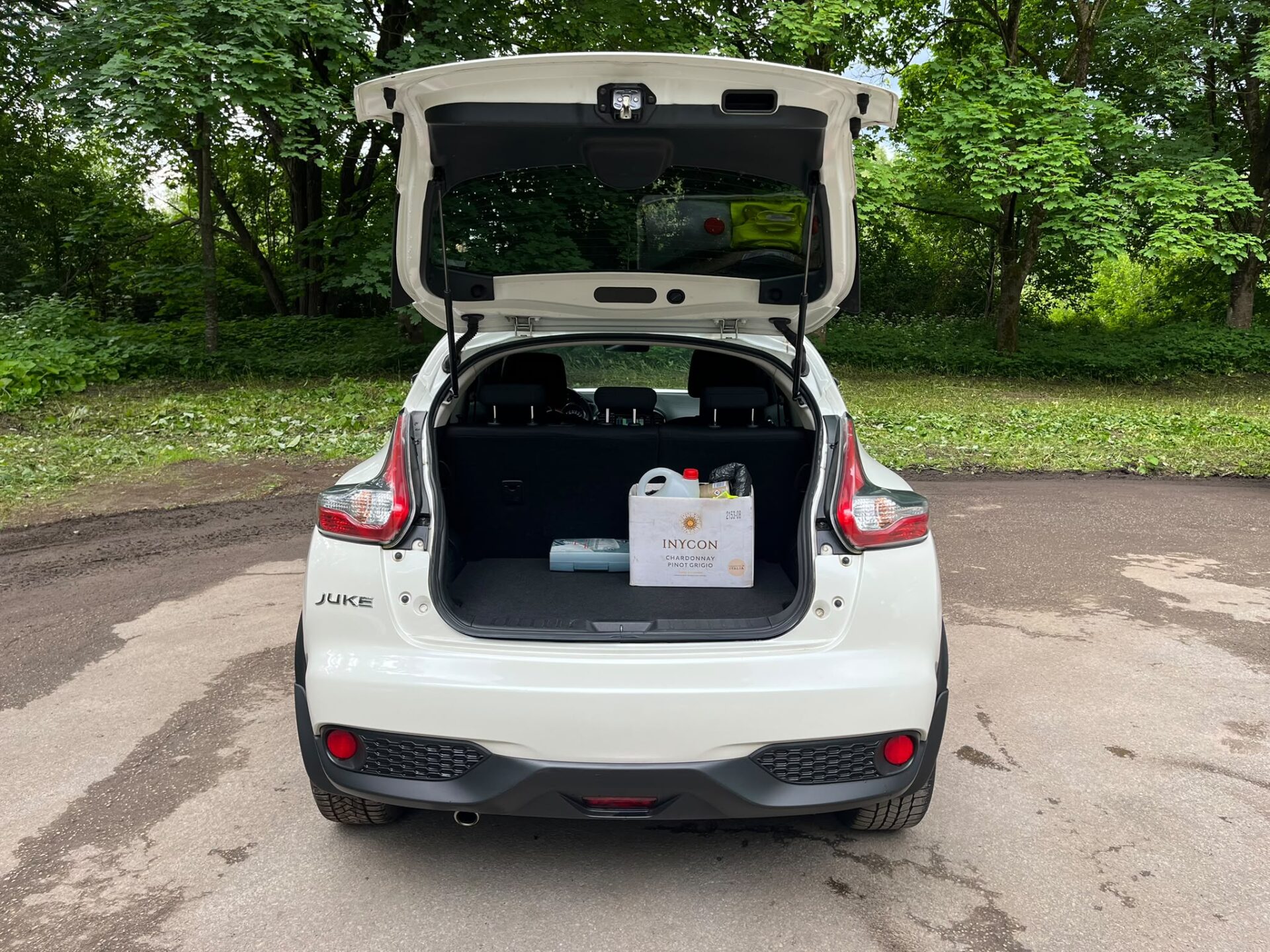 NISSAN JUKE