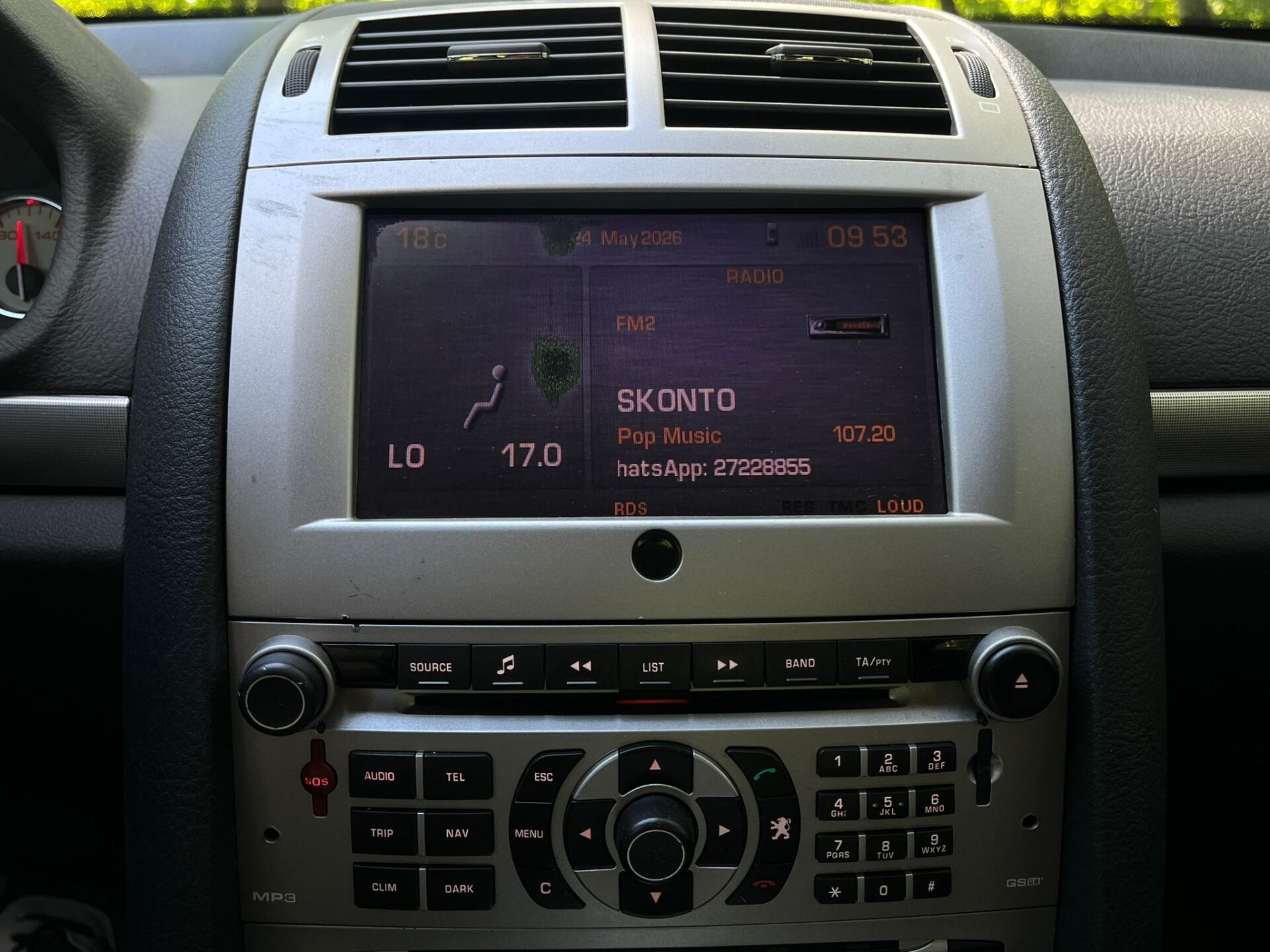 PEUGEOT 407