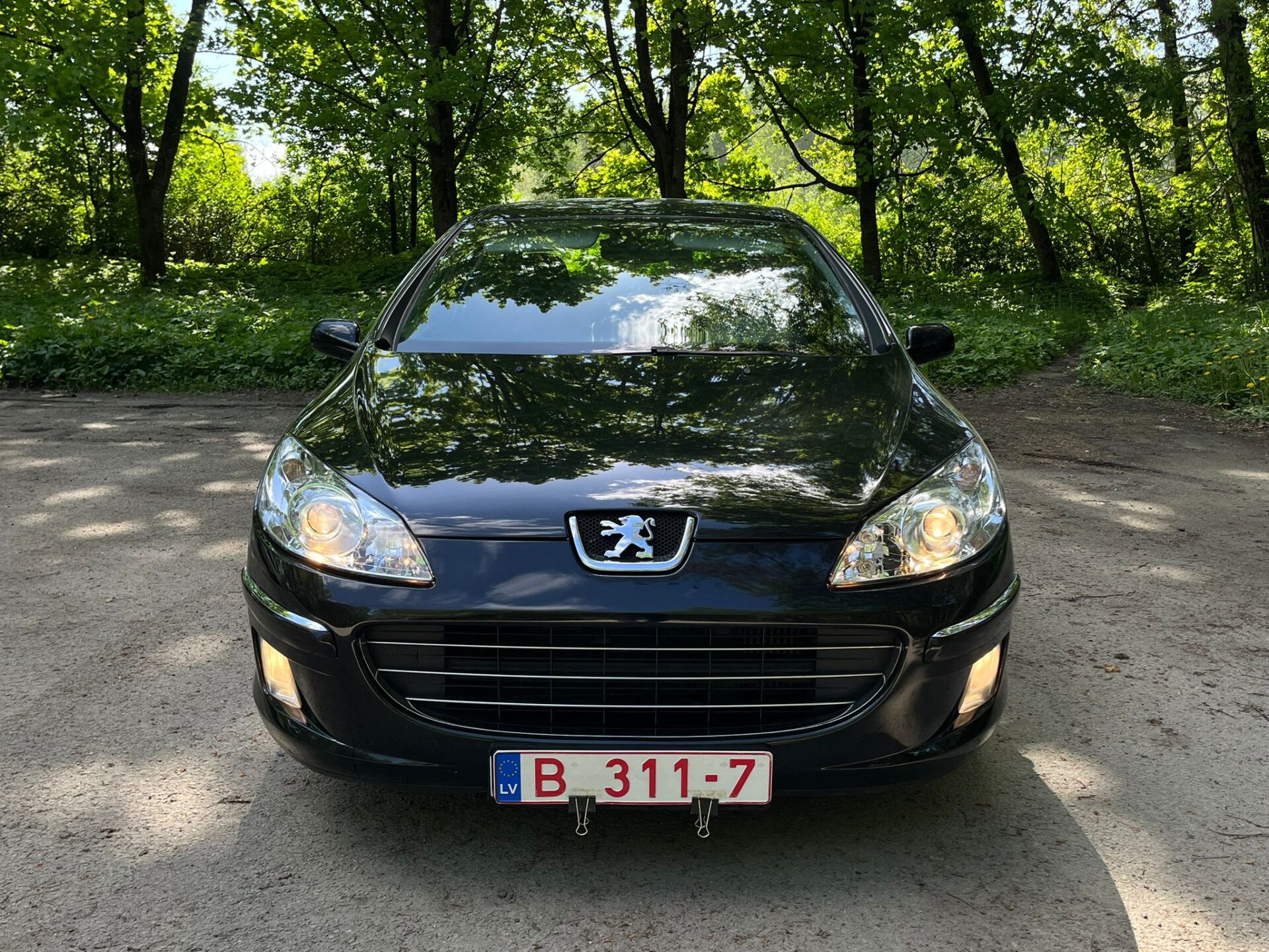 PEUGEOT 407